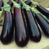 Lunga melanzana viola nutriente e deliziosa semi di verdure fai da te giardino di casa 100 semi T079