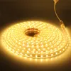 220 V LED Flexibe Tape SMD5050 LED Strip met Power EU Plug 60 LED / M IP67 Waterdichte Outdoor Woondecoratie String Verlichting Gratis verzending