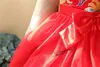 Meninas de varejo Vestido de ano novo Drag￣o chin￪s Dragon Red Dress for Baby Girl Princesa Vestido Crian￧as Ano Novo Presente Crian￧as Crian￧as251p