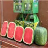 Free shipping Garden Plants 20pcs Free Shipping Square Watermelon Seeds Very Sweet Fruit Seeds With Plant Instructions