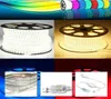 220V 230V 240V LED Strips 100M/lot SMD2835 flexible strip with Power plug IP67 Warm White Pure white For Christmas By DHL