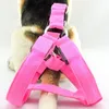 D05 dog harness LED light pet belt luminous dog harness for medium large dog new arrival Free shipping