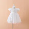 Bebê Meninas Vestido de Baptizado Vestidos Chapéu Xaile Vestidos Infantis Princesa Festa de Casamento Vestido de Renda para Batismo Recém-nascido 3PCS297r