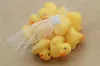 Baby Bath Toy Sound Rattle Children Infant Mini Rubber Duck Swimming Bathe Gifts Race Squeaky Duck Swimming Pool Fun Playing Toy I9329719