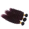 Noir et Bourgogne Ombre Vierge Péruvienne Faisceaux de Cheveux Humains Vague Profonde Ondulée 3 Pcs # 1B / 99J Vin Rouge Ombre Cheveux Humains Tensions Extensions