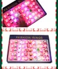 Weihnachts-LED-Ringlichter, Halloween-Dekoration, LED-Fingerlichter, Mini-Dekorationslichter, tragbare Noverty-Kürbis, Weihnachtsmann, Geisterpirat