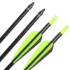 32 inch Fiberglass Target Practice Arrows with Replacement Screw-In Target Practice Point for Recurve and Compound