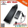 Voeding zilveren vissen ebike batterij 48V li elektrische fietsbatterij 18Ah 48V lithium batterij met 546V 20Ah Charger8513788