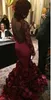 Red Rose Prom Dresses Mermaid Long Sleeves Real Image Formal Evening Dress Dubai Gowns With High Collar Zip Back Floor Length Vestidos