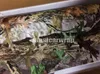 무광택 Realtree Camo Vinyl Wrap Mossy Oak Tree 잎 위장 자동차 랩 트럭 카모 나무 프린트 오리 피부 크기 1.52 x 30m/롤