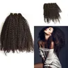 Remy Hair Clip Ins Erweiterungen Indisches Reines Haar Tight Afro Kinky Clip Ins für Afroamerikaner 7 PCs / Set FDShine