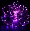 8 colori 10m 100 LED Filo di rame LED String Light Starry Light Outdoor Garden Christmas Wedding Party Decoration