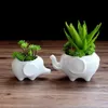 Accueil Pot de fleurs planteurs Éléphant blanc en céramique pote de vidro à vendre pots de jardin fleur vasi macetas pot cadeau
