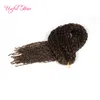 Synthetic ZIZi crochet braids hair kinky curly braiding hair micro braid crochet hair extensions marley for black women