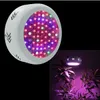 UFO 전체 스펙트럼 led 조명 72 * 3W 수경 법 성장 상자 온실 식물에 대 한 LED 램프 야채 성장 개화