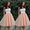 New Cheap Homecoming Dressed Short Prom Dresses Tea Length Two Tone White Top Sweetheart Neck with Straps Tulle Skirt Party Gowns