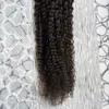 Brazilian virgin hair afro kinky curly micro loop human hair extensions Natural Color 100g kinky curly micro loop hair extensions9540657