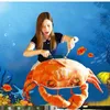 Dorimytrader Bonito Caranguejos Simulados Realistas Travesseiro de Pelúcia Gigante Bichos de Pelúcia Boneca de Brinquedo Decoração de Frutos do Mar Presentes 58cm x 60cm DY6163787407