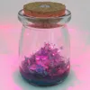 iWish Visual 2017 Wishing Magic Crystals With LED Light Wishes Grow A Crystal Kit di coltivazione fai-da-te Giocattoli per bambini Desiderio di Natale Ornamenti in vetro 3PCS