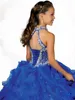Glamous Girls Pageant Elbiseleri Yular Yüksek Boyun Boncuklu Kayışları Boncuklar Küçük Pileli Mavi Organza Çiçek Kız Elbiseleri6326885