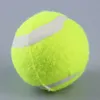 Intero NUOVO arrivo 2016 NUOVO arrivo Nuovo Pet Dog Palla da tennis Petsport Lanciatore Chucker Launcher Gioca Toy8366851