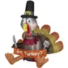 Free Electric Blower Giant Inflatable Turkey goods Thanksgiving Big Promotion