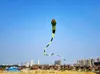 2017 New3d 40 meter Stunt Enorm Snake Power Sport Kite Outdoor Toy 1643782