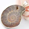 10 pezzi / lotto LuckyShine Eccellente fuoco Ammonite naturale Gemme fossili Argento sterling 925 Stile vintage Pendenti Collane Gioielli regalo amico