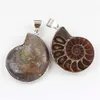 10pcs / lot exotique main ammonite naturelle conque coquille pierre pendentif perle exquise mode marron escargot agate pendentif pour mariage hommes femmes