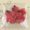 Feuilles d'érable artificielles en soie, pour décoration de maison, fête de mariage, artisanat de Scrapbooking, multicolore, fausse fleur vive d'automne, G961