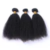 Afro Kinky Kıvırcık Bakire İnsan Saç Dokuma Uzantıları İşlenmemiş Brezilyalı İnsan Saç Afro Kıvırcık Paketler Çift Wefted 3pcs çok Fiyatları