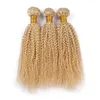 3 Bundles Blonde Brésilienne Crépus Bouclés Armure Extensions de Cheveux Trame de Cheveux Brésiliens 3 Boundles Blond Crépus Bouclés Afro Cheveux