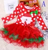 Winter Flower Princess Girl Dress kids Teenagers Clothes Christmas Party Dresses Performance Clothing Children Prom Gown