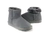 الشتاء الكلاسيكي Mini Boots Women Warm Snow Boot في الهواء الطلق Minis Shoes Chestnut Navy Brown Black Sand عالية الجودة 36-41 للإناث