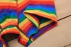 Nieuw Ontwerp Regenboog Gestreepte Gay Pride Ondergoed Boxers LGBT 100% Katoen Zachte Boxers voor Mannen 4 Maten M-2XL