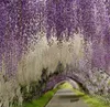 Glamoureuze bruiloftsideeën Elegante kunstzijden bloemen Wisteria Wijnstok Bruiloftsdecoraties 3 vorken per stuk Meer hoeveelheid Meer Beauti290o