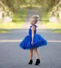 Mini Flower Girls Dresses Blue Halter Sheer Neck Applique Beaded Pageant Dresses Back Zipper Knee-Length Custom Made Party Gowns Tiered