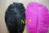 Whole pink and black ostrich feather for wedding centerpiece Wedding decor wedding centerpiece party supply decor3793282