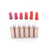 Lippenstift Make -up Mode farbenfrohe Lippenstifte 24 PCs 12 Farben Feuchende rote Lippenstock -Set P8516 Net17G6331357