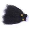 Afro Kinky Curly Virgin Human Hair Weave Wydłużenie Brazylijskie ludzkie włosy afro kręcone wiązki oferty podwójne buty 3PCS L9486614