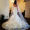 Newest Tulle Bridal Veils with Lace Appliques Alluring Cathedral Length White Ivory One Layers Bridal Wedding Veil with Comb