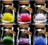 iWish 2017 Visual Magic Wishing Crystals with LED Light Wishes Grow A Crystal DIY Growing Kit Kids Toys Christmas Wish Decoration Baby 3PCS