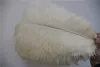 100 PCSLOT IVORY OSTRICH FEATHER PLUME FOR WEDDING CENTERPIECE PARTY FESTIVE SUPPLY DECOR4723273