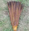 Whole 100Pcs Pheasant Tail Feathers 40-45cm 16-18inches High quality Natural Pheasant Tail Feathers Things Dance Props Weddin2810