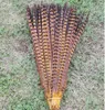 Hela 100st Pheasant Tail Feathers 40-45cm 16-18 tum högkvalitativ naturlig fasan svansfjädrar saker dans rekvisita weddin341p