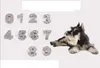Ładne listy DIY Slajdów Listy z Rhinestone do 10mm Pet Dog Collars Listów i numerów 60 sztuk