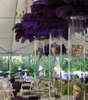 commande envoyée par EMS uniquement) PLUMES D'AUTRUCHE DE DÉCORATION DE FÊTE POUR CENTRE DE MARIAGE