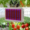 Fabrikspris DHL gratis! Högkvalitativ 600W Full Spectrum LED Grow Light Red / Blue / White / UV / IR AC85 ~ 265V SMD5730 LED-lampor