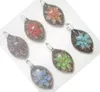10pcs/lot Multicolor murano Lampwork Glass Pendants For DIY Craft Fashion Jewelry Gift PG11