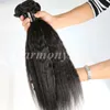 Tissages de cheveux humains brésiliens vierges, trames droites crépues de 8 à 34 pouces, extensions de cheveux de vison mongol indien non transformés